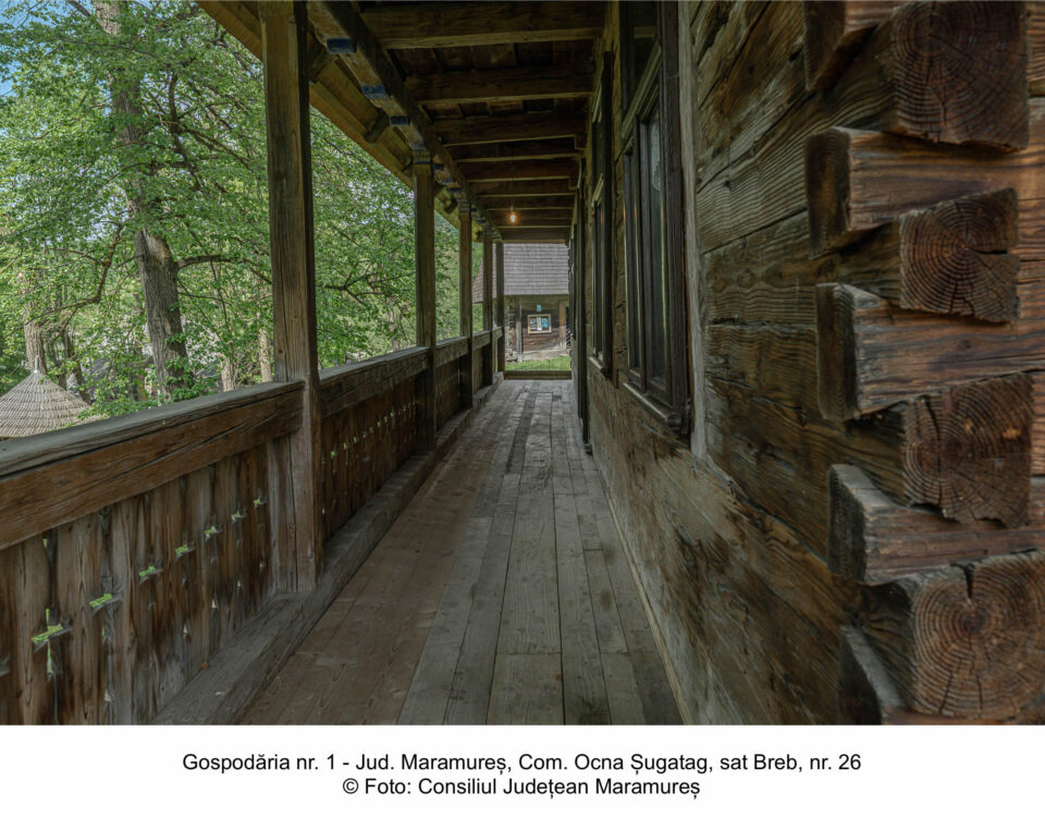 G1 - 12